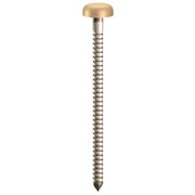 PLASTIC HEAD PINS